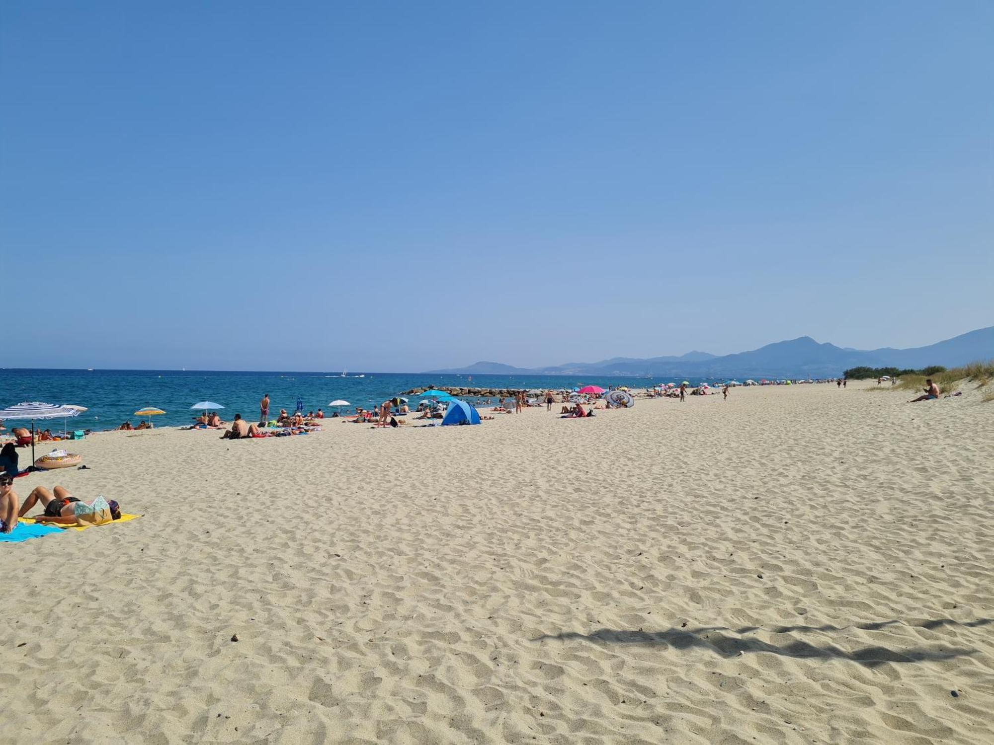 Magnifique Vue Mer Pour Ce T2 Avec Piscine サン・シプリアン エクステリア 写真